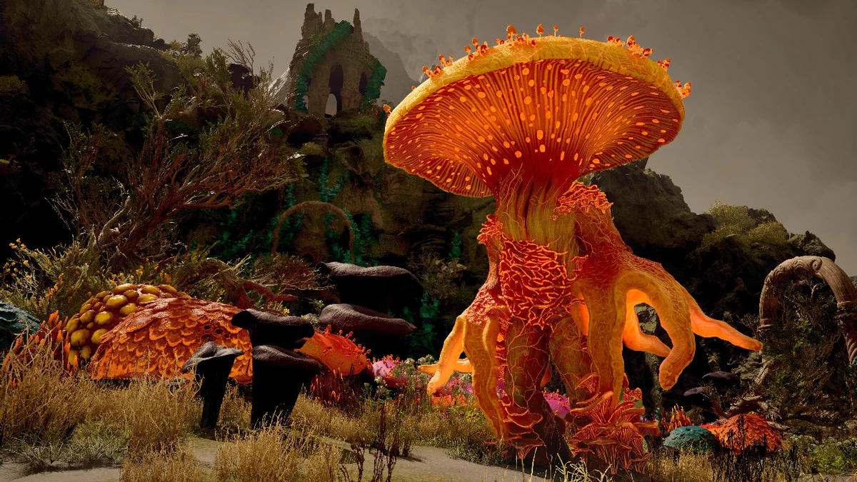 Для RPG Avowed от Obsidian стартовали предзаказы, а также опубликованы системные требования Для RPG Avowed от Obsidian стартовали предзаказы, а также опубликованы системные требования