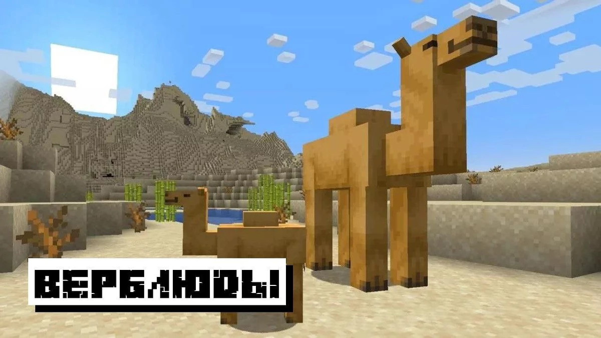 Скачать Майнкрафт 1.20.0, 1.20.50 и 1.20.100 на Андроид Бесплатно: Minecraft 1.20.0, 1.20.50 и 1.20.100 Скачать Майнкрафт 1.20.0, 1.20.50 и 1.20.100 на Андроид Бесплатно: Minecraft 1.20.0, 1.20.50 и 1.20.100