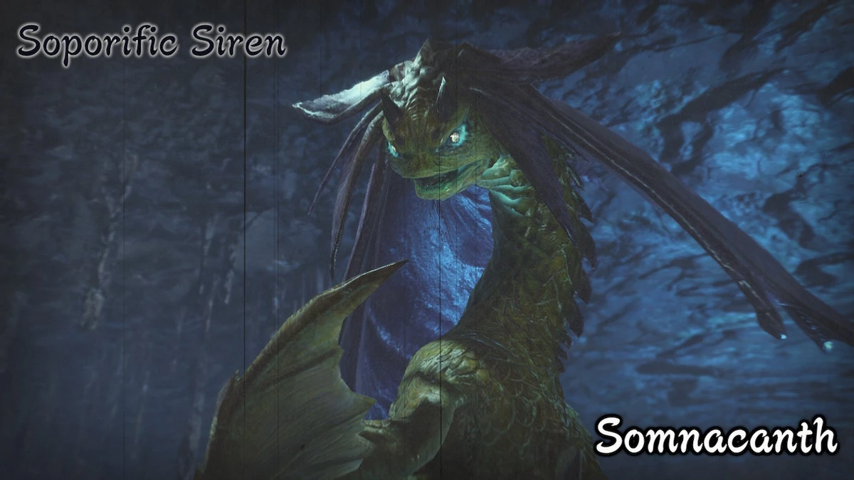 5 лучших и 5 худших монстров в Monster Hunter Rise 5 лучших и 5 худших монстров в Monster Hunter Rise