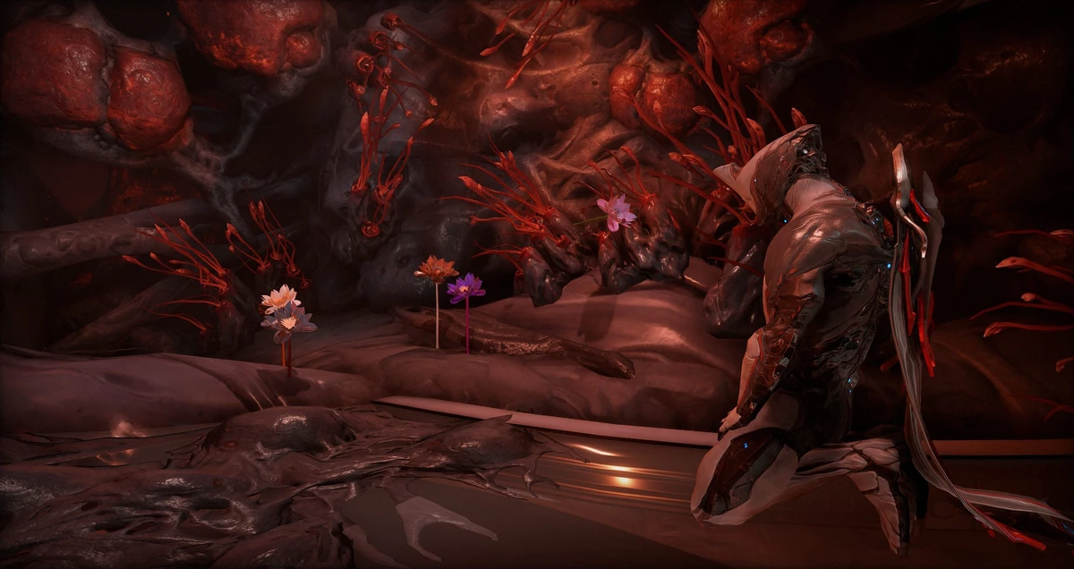 Warframe — Подробности механики переноса способностей фреймов Warframe — Подробности механики переноса способностей фреймов