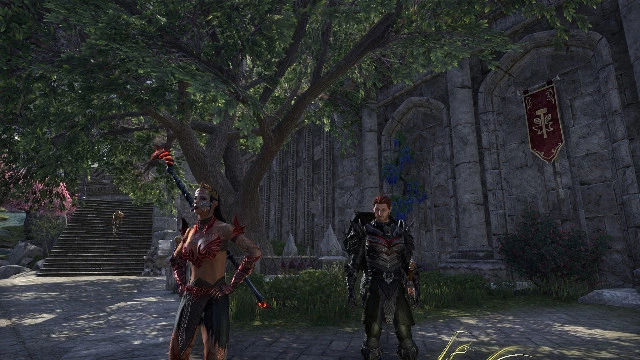 На 4chan свежий вброс "сливов" про The Elder Scrolls 6: вероятность правды невысока, но как общая инфа — любопытно