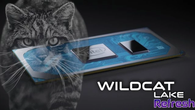 Появились подробности бюджетных процессоров Intel Wildcat Lake Refresh