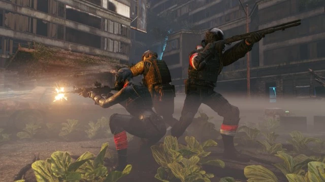 В Active Matter открыта нестабильная зона «Америка: Коллапс»