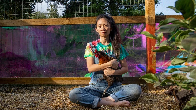 Манга идет в Голливуд, посредником станет Kodansha Studios под руководством Хлои Чжао