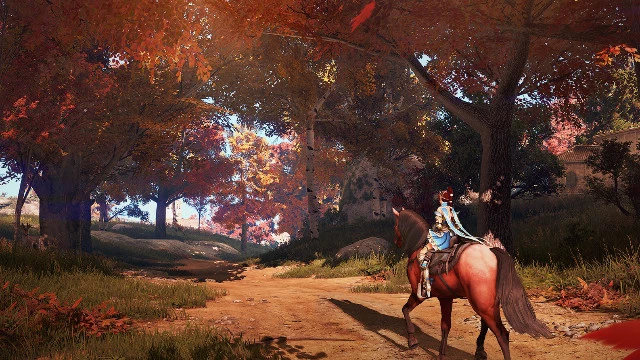 Pearl Abyss исправляет баланс PvP и PvE в Black Desert после обновления