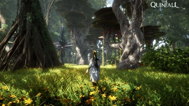 MMORPG The Quinfall получила патч с обновленной боевой системой