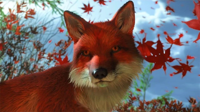 Опасно для жизни — японцы не рекомендуют гладить лис на Хоккайдо, как это представлено в Ghost of Yotei