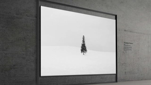 Гигантский 130-дюймовый телевизор заказывали? Samsung представили свои новинки к CES 2026