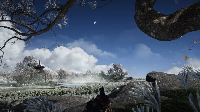 В Where Winds Meet ИИ-NPC не против заняться с вами виртуальным сексом